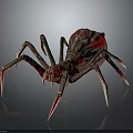 Red and Brown Textured Spider with Long Legs and White Tips on Dark Background