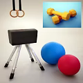 Sports Equipment With Climbing Ladder Gymnastic Rings Exercise Balls Trampoline And Balance Beam