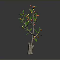 Decorative Plant with Brown Trunk Green Leaves Red and Yellow Fruits Against Dark Background