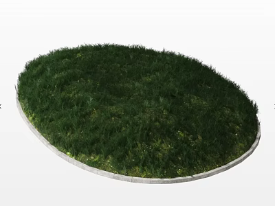 Vibrant Green Grass in Circular Lawn With Well Defined Stone Border 3d model