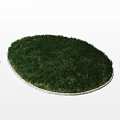 Vibrant Green Grass in Circular Lawn With Well Defined Stone Border 3d model