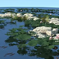 Tranquil Garden Landscape with Lotus Leaves Pink Flowers Stone Path and Water
