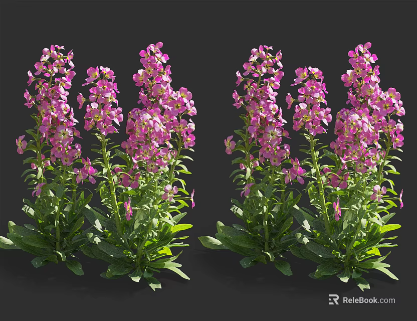 Vibrant Purple Flower Plants With Lush Green Leaves On Black Background 3d model 