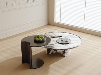 Modern round coffee table model