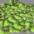 Green Mossy Garden Ornaments With Small Plants And Natural Landscape Design