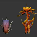 Colorful Tropical Plants With Vibrant Flowers And Coral Like Structures On Black Background
