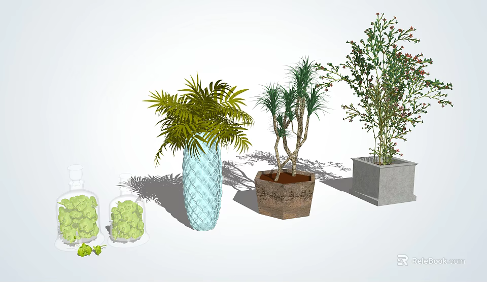 Bonsai Potted Plants With Various Green Plants And Ceramic Clay Concrete Planters For Indoor Decor 3d model 