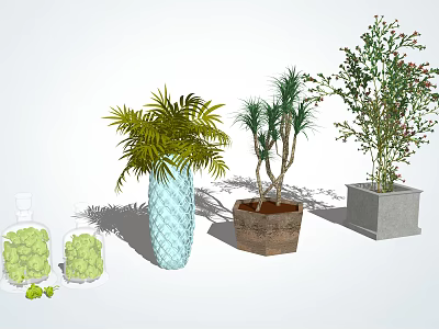 Bonsai Potted Plants With Various Green Plants And Ceramic Clay Concrete Planters For Indoor Decor 3d model