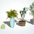 Bonsai Potted Plants With Various Green Plants And Ceramic Clay Concrete Planters For Indoor Decor
