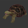 Realistic land tortoise with black and yellow patterned shell on gray background 3d model