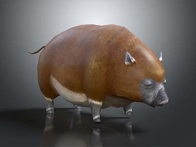 Brown Wild Boar With White Underbelly Pointed Ears And Small Horns On Black Surface 3d model