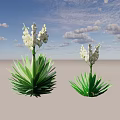 Two Green Shrubs With White Flowers And Different Sizes On Light Blue Background