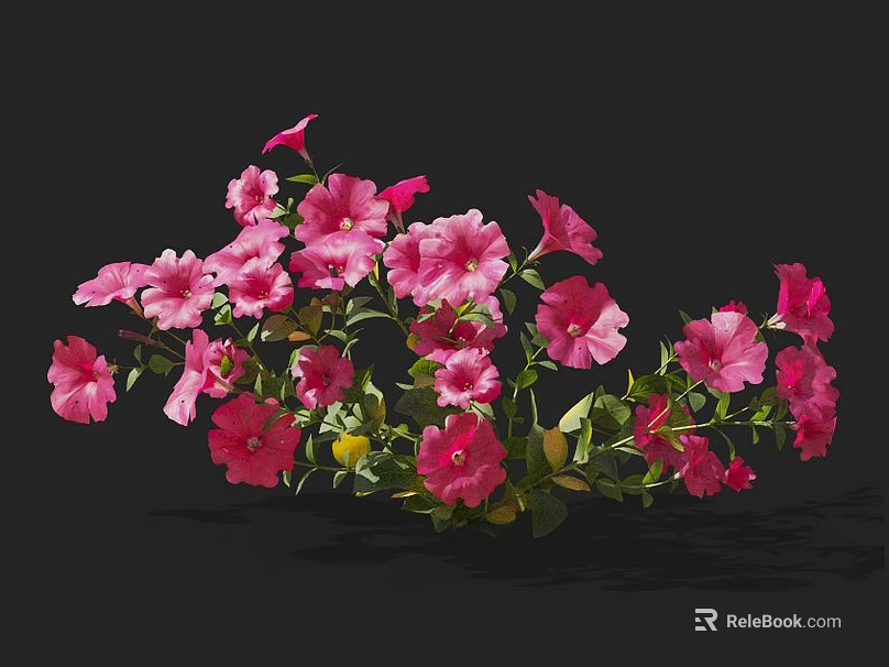 Vibrant Pink Flower Plants With Fresh Green Leaves Forming Lush Blooms 3d model 