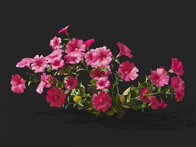 Vibrant Pink Flower Plants With Fresh Green Leaves Forming Lush Blooms 3d model