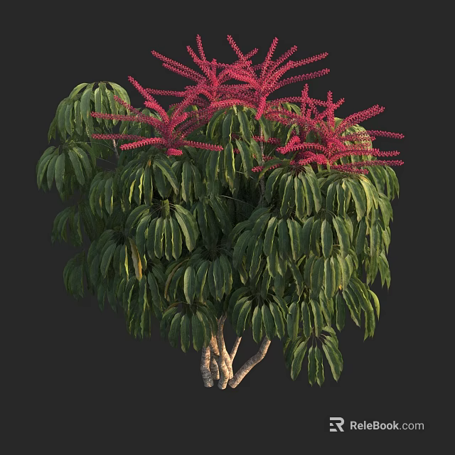 Lush Vibrant Arbor with Green Foliage and Red Flower Spikes on Multi Branched Trunk 3d model 