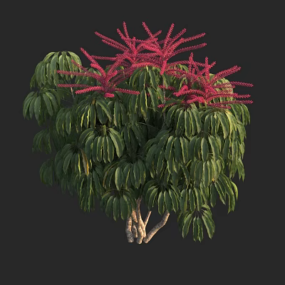 Lush Vibrant Arbor with Green Foliage and Red Flower Spikes on Multi Branched Trunk 3d model