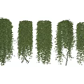 Modern Vine 3d model