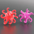 Two Red And Pink Organ Models With Tentacle Like Structures On Gray Background
