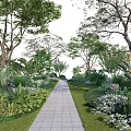 Lush Arbor Trees In Scenic Garden With Pathway And Greenery Plants