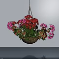 Hanging Basket Plants with Red and Pink Flowers and Green Leaves in Indoor Space