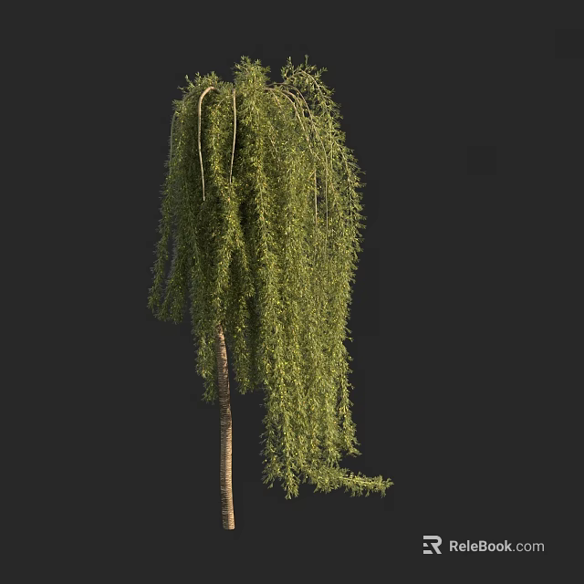 Graceful Weeping Willow Arbor with Long Drooping Branches and Green Foliage 3d model 