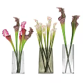 Transparent Striped Vases With Unique Pink Green White Decorative Flower Arrangement