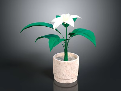 Indoor Plant With White Flower And Green Leaves In Textured Beige Pot 3d model