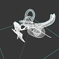 Head Organ 3D Anatomical Model With Lateral Anterior Labels And Structural Details