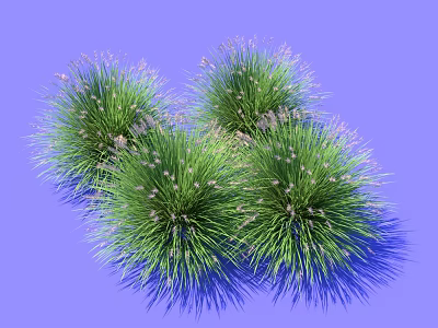 Vibrant Green Clustered Grass Like Plants With Small Flowers On Purple Background 3d model