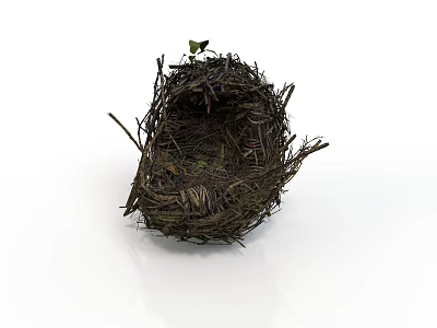 Natural Bird Nest Structure Made Of Twigs With Small Green Leaf On White Background 3d model