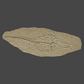Ancient Aquatic Reptile Fossil Skeleton As Game Movie Character Inspiration