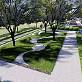 Modern Residential Landscape with Curved Pathway Lush Green Lawn Trees and Water Feature