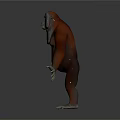 Realistic 3D Model of Ape with Red and Gray Fur Standing with Outstretched Arms