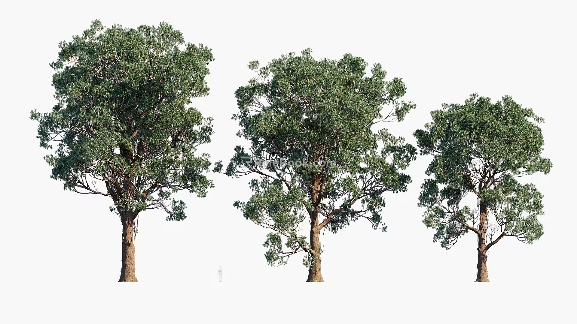 Plants Trees Landscape Trees Arbor 3d model
