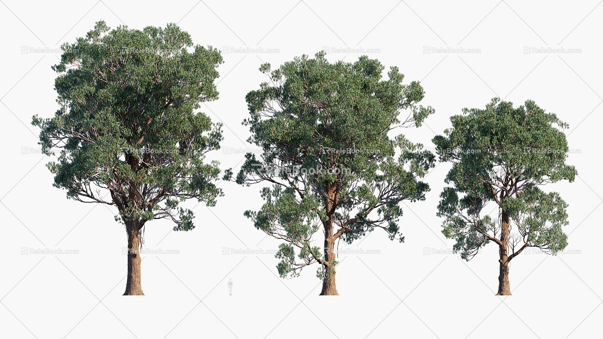 Plants Trees Trees Landscape Trees Arbor 3d model