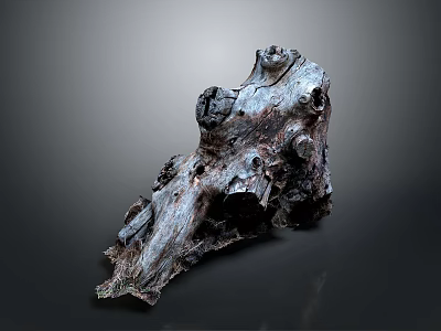 Detailed Ancient Tree Stump with Natural Holes and Textured Grayish Brown Surface 3d model