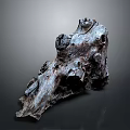 Detailed Ancient Tree Stump with Natural Holes and Textured Grayish Brown Surface