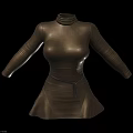 Brown Turtleneck Long Sleeve Fitted Dress With Black Belt Detail