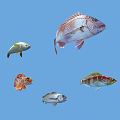 Various Colorful Fish Species Swimming In Clear Blue Water Background
