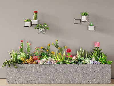 Long Gray Planter With Succulents Cacti Pink Flowers By Wall Shelves With Small Potted Plants 3d model