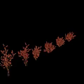 Multiple Arbor Trees With Red Leaves In Different Shapes And Sizes