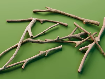 Natural Dry Brown Branches Scattered On Green Background For Decorative 3d model