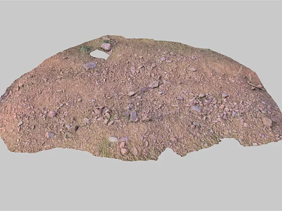 Natural Dirt Ground Surface With Irregular Shape And Scattered Small Stones 3d model