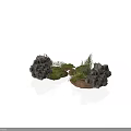 Modern Landscape Design Featuring Rocks Moss And Small Green Plants Arrangement