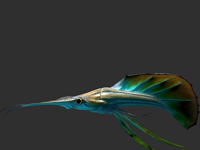 Vibrant Aquatic Fish With Long Snout Colorful Fins And Shiny Body 3d model