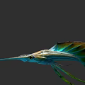 Vibrant Aquatic Fish With Long Snout Colorful Fins And Shiny Body