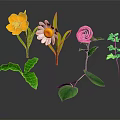 Assorted Plants Displaying Colorful Flowers And Vibrant Green Leaves