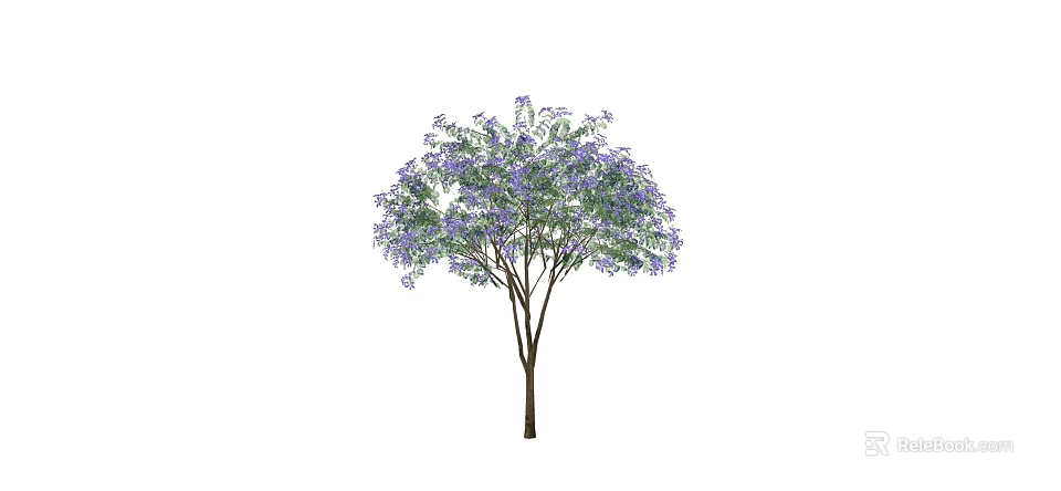 Ornamental Tree With Purple Flowers Green Leaves And Lush Canopy In Garden 3d model 