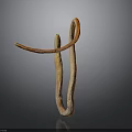 Brown And Orange Curved Snake With Dark Background And Smooth Form