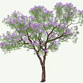 Tall Tree with Lush Green Leaves and Purple Flowers on Brown Trunk
